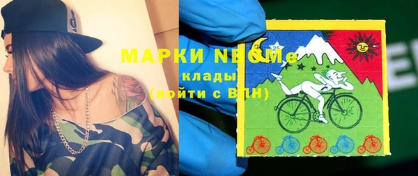ECSTASY Богородицк