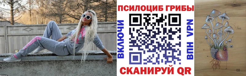 Галлюциногенные грибы мицелий  Армавир 